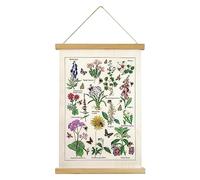 XIAOAIKA Poster de fleurs et de plantes - Impression d'art mural HD - Style rustique et coloré - Décoration murale - Référence illustrative - Avec cadre en bois - Pour salon, bureau, chambre à coucher