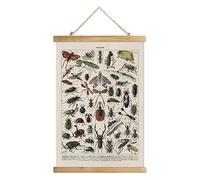 XIAOAIKA Poster d'entomologie vintage - Tableau illustré des espèces d'insectes avec cadre en bois - Art mural éducatif d'identification des insectes pour salles de classe de science, bureau à