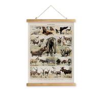 XIAOAIKA Poster Éducatif Vintage 'Mammifères' - Affiche Illustrée d'Animaux Sauvages avec Cadre en Bois, Décoration Murale Rétro pour les Amateurs de Faune, 40 x 58 cm