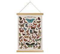 XIAOAIKA Poster papillon d'art mural : HD coloré vibrant style rustique à suspendre au mur, affiche illustrative de référence en papillons avec cadre en bois pour salon, bureau, chambre à coucher,