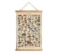 XIAOAIKA Poster vintage champignon suspendu avec cadre en bois, décoration murale de style rétro, motifs imprimés sur lin sans décoloration, prêt à accrocher (50 x 75 cm)