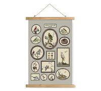 XIAOAIKA Poster Vintage 'Histoire Naturelle' - Collection d'Oiseaux avec Cadre en Bois, Art Mural Élégant pour Amateurs d'Ornithologie et Décorateurs d'Intérieur, 30 x 40 cm