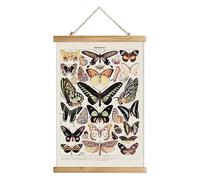 XIAOAIKA Poster vintage papillon à suspendre avec cadre en bois, décoration murale de style rétro, motifs imprimés sur lin sans décoloration, prêt à accrocher (30 x 40 cm)