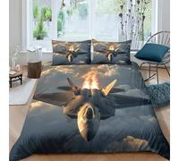 XIAOCHENG Avion de Chasse 3D Imprimé pour Adultes Et EnfFourmis Housses De Couettes Housse De Couette Parure De Lit avec Taies E avec Fermeture À Glissière Microfibr 3 Pièces King(220x240cm)