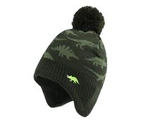 XIAOHAWANG Dinosaure Bébé Chapeau Écharpe Ensemble Chapeaux d'hiver pour Enfant Garçon Fille Bonnet de Chaud Automne 0 à 7 Ans (Vert Dinosaure Chapeau, 2 à 4 Ans)