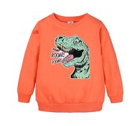 Xiaojiu Tout-Petit Hoodie Unisexe Enfant Imprimé Dinosaure - Confort Et Style pour Activités Quotidiennes Orange 12-24 Mois
