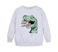 Xiaojiu Tout-Petit Hoodie Unisexe Enfant Imprimé Dinosaure - Confort Et Style pour Activités Quotidiennes Gris 12-24 Mois