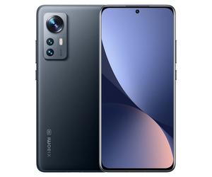 Xiaomi 12X (5G) 256 Go, Gris, débloqué