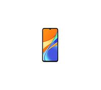 Xiaomi Redmi 9C 16,6 cm (6.53") Double SIM Android 10 4G Micro-USB 2 Go 32 Go 5000 mAh Gris