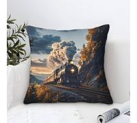 XiaopangXY Housses De Coussin avec Motif Train à Vapeur Décoratives pour Canapé, Chambre À Coucher, 50x50cm, Motif Choochoo
