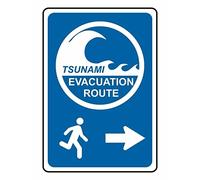 XIAOQIU Plaque en métal en aluminium pour tsunami - Panneau d'avertissement pour tsunami - Panneau d'avertissement de plage - 20,3 x 30,5 cm