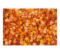 Xiaoterna 2,7x1,8m Fond avec Feuilles d'érable d'automne Rustique Automne Feuilles d'érable colorées Jour de Thanksgiving Fond pour Photos extérieur Anniversaire de bébé Fête des récoltes Décoration
