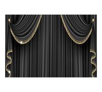 Xiaoterna 3x2m Toile de Fond pour Rideau Noir 3D Fond Photographique pour la Remise des Prix aux Clients VIP Toile de Fond à Glands Noirs et Or pailletés Décoration de fête d'anniversaire