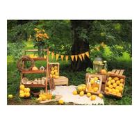 Xiaoterna 4,5x2,5m Fond Jaune Citron Frais Jardin Arbre Été Fruit Floral Nature Photographie de Paysage Fond Récolte d'automne Ferme Extérieur Décoration pour fête d'anniversaire Accessoires Photo