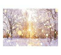 Xiaoterna 6x3m Toile de Fond du Pays des Merveilles de l'hiver vive Monde Fond Photographique de Noël en extérieur Arbres de la forêt Paysage de Neige Décorations de fête à Pois pailletés