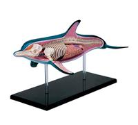 Xiaoxu Kit éducatif 4D Master Dolphin Assembly, Figurine d'animal Marin, modèle Animal pour l'enseignement, la démonstration et l'étude des Sciences