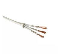 XIBIO Câble Haute température 500 ° 2 Fils 3 Fils résistant à la Chaleur Mica tressé Fil Ignifuge 0.5mm 0.75mm 1.0mm 1.5mm 2.5mm 4.0mm 1pc (Color : 3 Core, Size : 20 AWG 0.5mm)