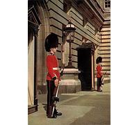 Xiddxu Plaque en métal avec inscription « London Queen's Guard Sentries of The Irish Guard » - Décoration murale rétro pour maison, café, bureau, magasin, pubs, club - Cadeau - 20,3 x 30,5 cm
