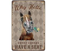 Xiddxu Plaque murale vintage en métal avec inscription « Why Hello Horse Sweet Cheeks Have a Seat » pour homme, grotte, garage, club, café, pub, restaurant, 30,5 x 40,6 cm