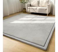 XIEMINLE Tapis pour salon, chambre à coucher, en peluche super douce, moderne et confortable, tapis de sol, antidérapant, lavable, pour chambre d'enfant, salon (160 x 220 cm, gris clair)