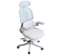 XIGOUZIQU Chaise de Bureau Pivotante Chaise d'Ordinateur,Maille Respirante, Soutien Lombaire Réglable, Hauteur réglable, Roulette Pivotant à 360°, Coussin amélioré, Dossier Haut(Gray)