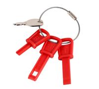 XIHIRCD 4 Clés Universelles Chasse-Neige, Remplacement hasse-Neige | Clés Démarrage pour Chasse-Neige Compatibles avec MTD / Troy-Bilt / Tecumseh / Poulan Remplaçant 490-241-0008 / 4902410008