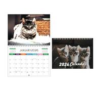 Xijobido Calendrier Mural 2026,Agenda Mural Drôle avec Chats 2026 | Planificateur 12 Mois Papier Épais Fournitures Scolaires Pour Organisation Et Planification Bureau Chambre Salon Cuisine Appartement