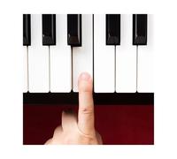 XILEUDUOD Klavier Ersatztasten 2Pcs White Piano Keytops Material Piano Replacing Key Tops Long Service Life Repairing Gadgets for Keyboard Instrument