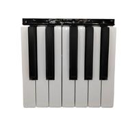 XILEUDUOD Klavier Ersatztasten for Black White Electric Keyboard Replacement Key(12 Black White Key)
