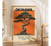 XINBAO Tableau sur toile orange d'Okinawa, impression de voyage inspirée du Japon, voyage à Ryukyu, affiche du cap Hedo, arbre Gajumaru, bonsaï (50x70cm/cadre intérieur)