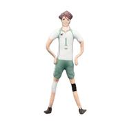 Xinchangda Figurine Oikawa Tooru en peluche Oikawa Tooru - 28 cm - Peluche amusante et rembourrée - Figurine articulée active - Cadeau de décoration