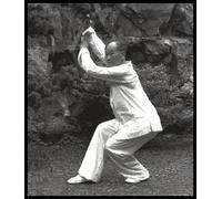 Xing Yi and Cha Style Kung Fu