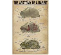 XingFox Affiche en métal « Lapin Connaissance » L'anatomie d'un lapin Plaque en métal Décoration murale Art Impression Affiche 8x12 pouces