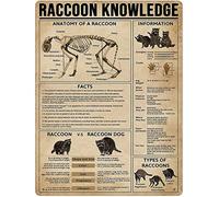 XingFox Ancienne plaque en étain vintage Raton laveur Connaissance Métal Étain Signalisation Anatomie d'un raton laveur Bar Homme Cave Salon Mur Art Déco Cadeau drôle 8x12 pouces