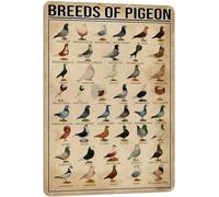 XingFox Encyclopédie de l'éducation des pigeons - Panneau rétro en aluminium pour garage, jardin, terrasse, café ou bar - Décoration murale - Plaque en aluminium 20 x 30 cm