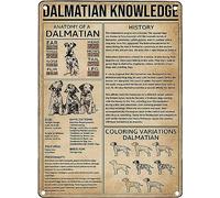 XingFox Plaque en métal « Anatomie d'un dalmatien » style rétro, décoration murale pour la maison, la cuisine, le bar, le pub, le café, le bureau ou un espace détente (20 x 30 cm).