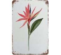 XingFox Plaque en métal antique représentant un oiseau de paradis, une plante, un perroquet ara et des plumes d'ara. Décoration exotique 20 x 30 cm (8 x 12 pouces).