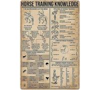 XingFox Plaque en métal vintage « Guide du dressage des chevaux » (20 x 30 cm) - Décoration murale pour club de ferme ou maison