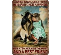 XingFox Plaque vintage en métal « Un cheval n'est qu'un cheval. Il est la sérénité et le bonheur » - Décoration murale pour la ferme, la zoo, le jardin ou la maison - Affiche/Plaque 20 x 30 cm