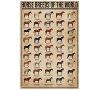 XingFox Plaques en métal sur les races de chevaux du monde - Décoration murale pour la maison, la chambre, le salon, la salle de bain, le café, la cuisine ou tout autre espace. 20 x 30 cm