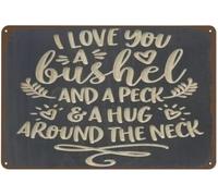 XingFox Plaques métalliques vintage « Je t'aime à la folie » - Décoration rétro humoristique pour garage, atelier, porte d'entrée, intérieur/extérieur, bureau, bar, café, 20 x 30 cm