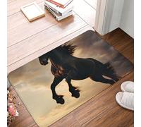 XingFox Tapis décoratif représentant Un étalon Noir cabré, pour l'intérieur et l'extérieur, 40 x 60 cm