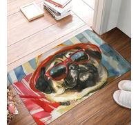 XingFox Tapis d'été pour carlins, Tapis de Bienvenue pour intérieur et extérieur, paillasson décoratif 40 x 60 cm