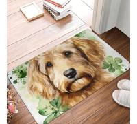 XingFox Tapis pour Chien pour la Saint-Patrick, Tapis de Bienvenue pour l'intérieur et l'extérieur, Tapis de Porte décoratif 40 x 60 cm