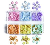 XINGLIDA 1 boîte art cinq fleurs ornement boîte d'ornement multicouleur acrylique bijoux avec perles dorées et argentées pour l'art