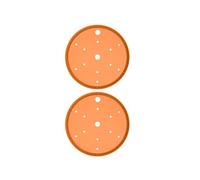 XINGLIDA Lot de 2 inserts ronds pour pot de fleurs - Insert de remplissage avec pot de fleurs amovible - Pour le jardinage, l'intérieur et l'extérieur