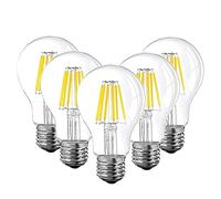 Xingyue Aile Ampoules LED 5pcs 12V 24V LED lampe A19 Ampoule de filament basse tension 6W Edison Globe bulbes 4500K lumière du jour blanc chaud blanc 2700K E26 E27