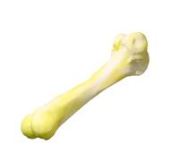 Xinhuju Jeu de chien BONE, jouets de nettoyage des dents pour chiens - jouets pour chiens indestructibles pour mâcher agressif, jouets à mâcher molaires pour une race de grande moyenne