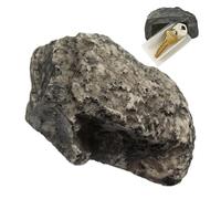 Xinhuju Masquer les clés de rechange pour l'extérieur | ce cache clé d'extérieur offre un intérieur spacieux qui peut contenir plusieurs clés