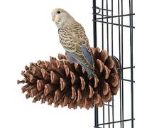 Xinhuju Plate-forme d'oiseau naturel naturel, support de perroquet avec bâton de broyage de patte - Perch à oiseaux, pince, accessoires à cage d'oiseaux, jouets à mâcher du perroque